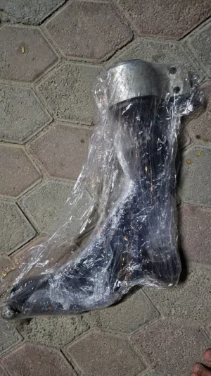 توريس 2018
