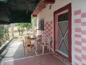 ٢ غرفتا نوم . حمّام . 150 م٢1