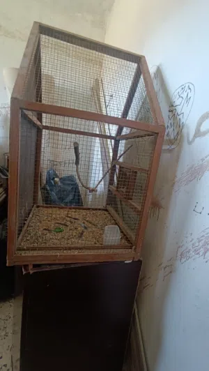براكه للبيع حرق جديده كبير
