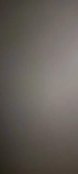 سجاد 