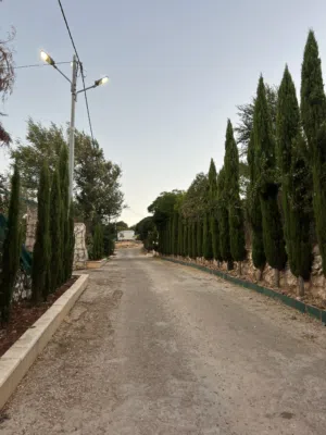 Land . Jordan . Landlord2