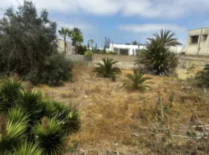 أرض . المغرب . المالك0