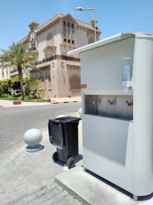 حسن 