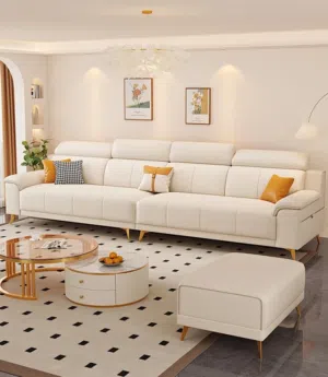 Living room sofa