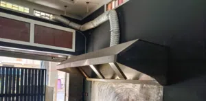 la haute aspirante professionnelle en inox