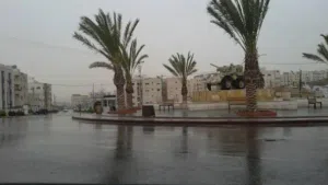 Residential Land for Sale in Amman Tabarboor