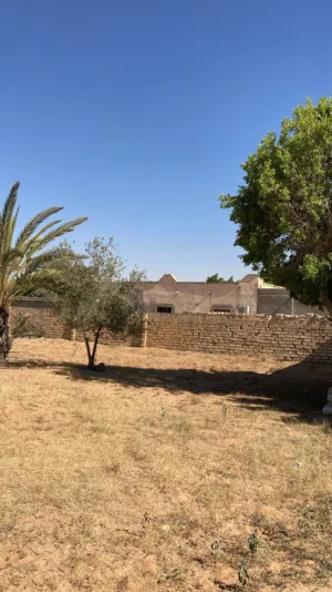 Farm Land for Sale in Jafara Other