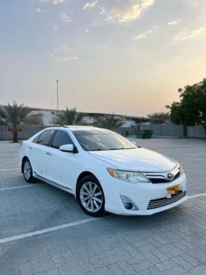 Camry 2014