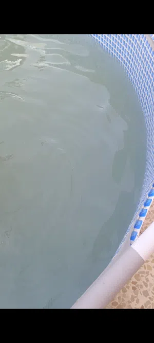 مسبح للبيع كلش كبير واسع