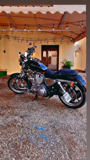 harly davidson sporster883