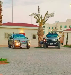 جمس انفوي 2003