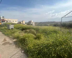 أرض للبيع في ناعور - الحويطي
