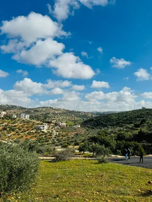 Residential Land for Sale in Amman Badr