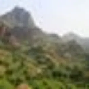 ابوعمار الجرفي الجرفي الجرفي