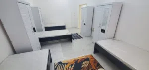 سكن شيرنح شباب عرب فقط القصباء جوار بخارى الخليج علي البحيره مباشرتاومقابل اللفاح وشاورمان