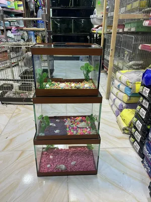 Accessories . Fish4
