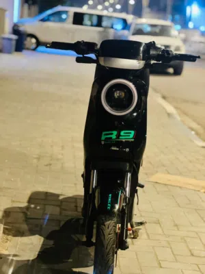عباس احمد 