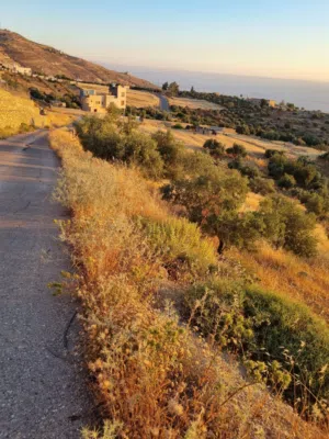 Mixed Use Land for Sale in Salt Other