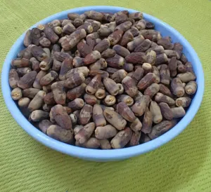 تمر (نغال أو جريجرو)