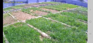 Farm Land for Rent in Al Dakhiliya Bidbid