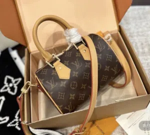 LOUIS VUITTON SPEEDY 20 BRAND NEW ORIGINAL RECIEPT