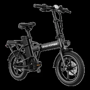 Wind Horse Electric Scooter 350W 30KM Range 35KM Speed, W2 A - Black