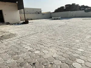 ‏الاستخدام المتعدد ‏.‏ سنوي ‏.‏ 10000 قدم٢‏4