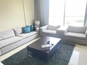 Living Room Furniture . Used2