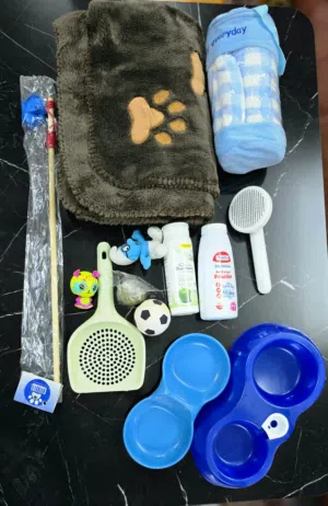 اغراض قطط للبيع
