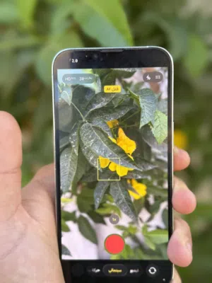 Apple iPhone 13 Pro 128 GB in Tripoli
