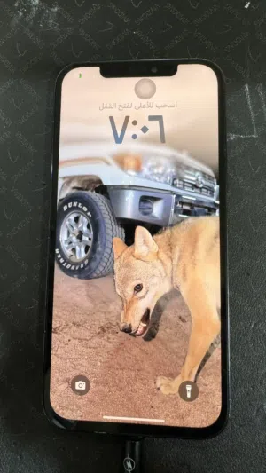 Apple iPhone 12 Pro Max 256 GB in Amman