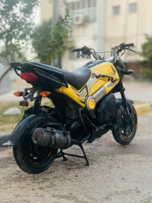 هوند نافي ربي يبارك