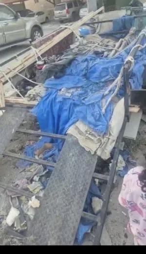 عربانه قلص