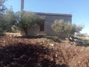 100 m2 2 Bedrooms Townhouse for Sale in Irbid Malka