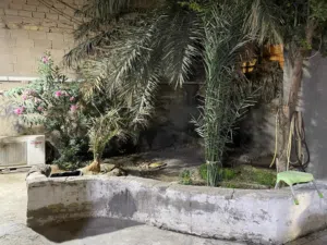 بيت للبيع في البصرة  البيت ملك