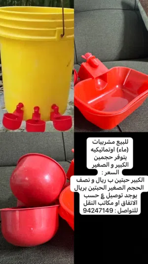 تابع الوصف مهم