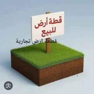 ارض في الطلحية