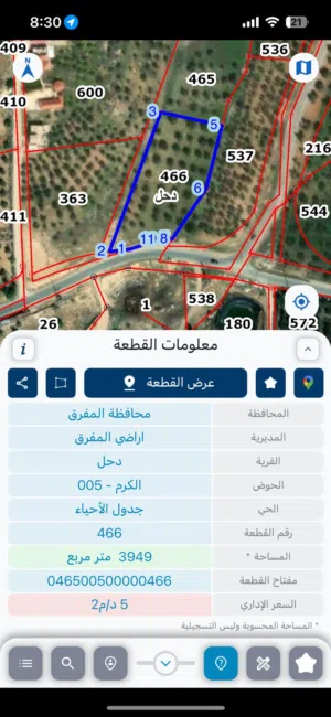 قطعة أرض زراعية للبيع في المفرق - بسعر مغري