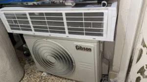 سبلت جبسون ابو طنين