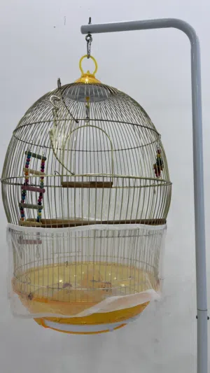 قفض جديد New Cages