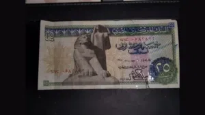 جواكت جامده