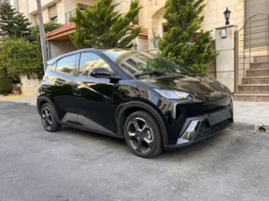 Used BYD Seagull in Amman