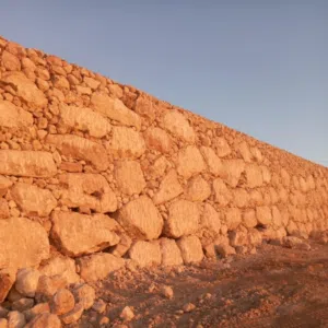 ابو زيد واتساب 