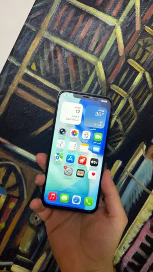 Apple iPhone 12 Pro Max 256 GB in Baghdad