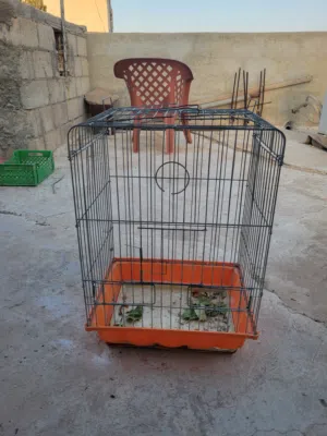 قفص كاسكو ثقيل