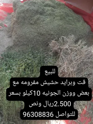 فرام + قت + خوص الزور