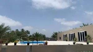 1 Bedroom Farms for Sale in Al Batinah Suwaiq