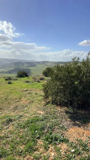 Mixed Use Land for Sale in Jerash Unaybah