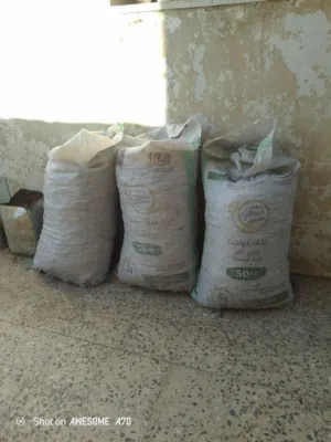 حطب زيتون صير فحم للشوي