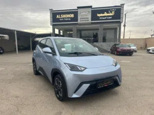 New BYD Seagull in Amman